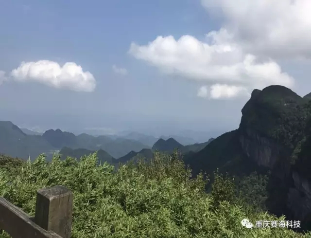 640.webp (13).jpg 640.webp (13).jpg